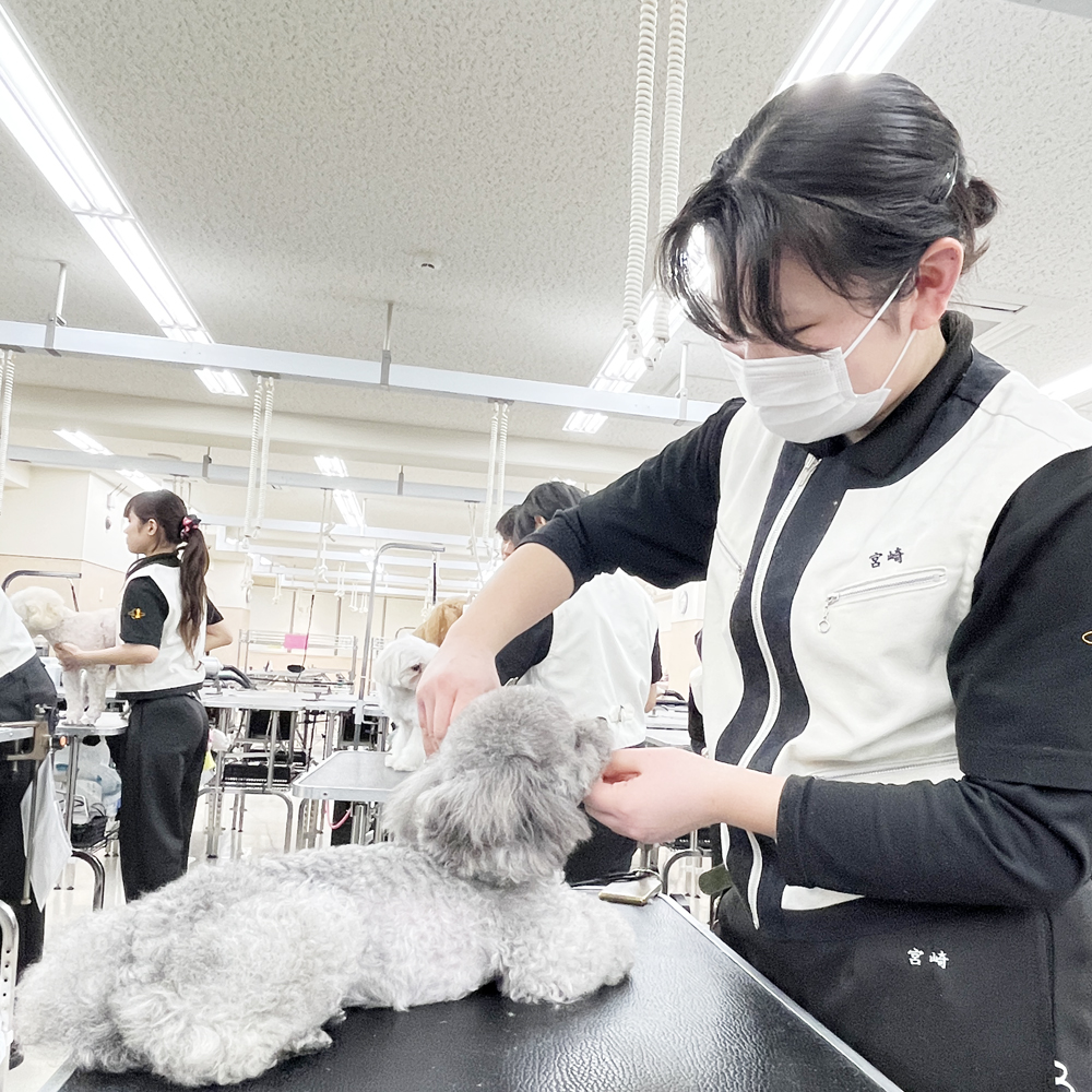 新２年生のトリミング実習！